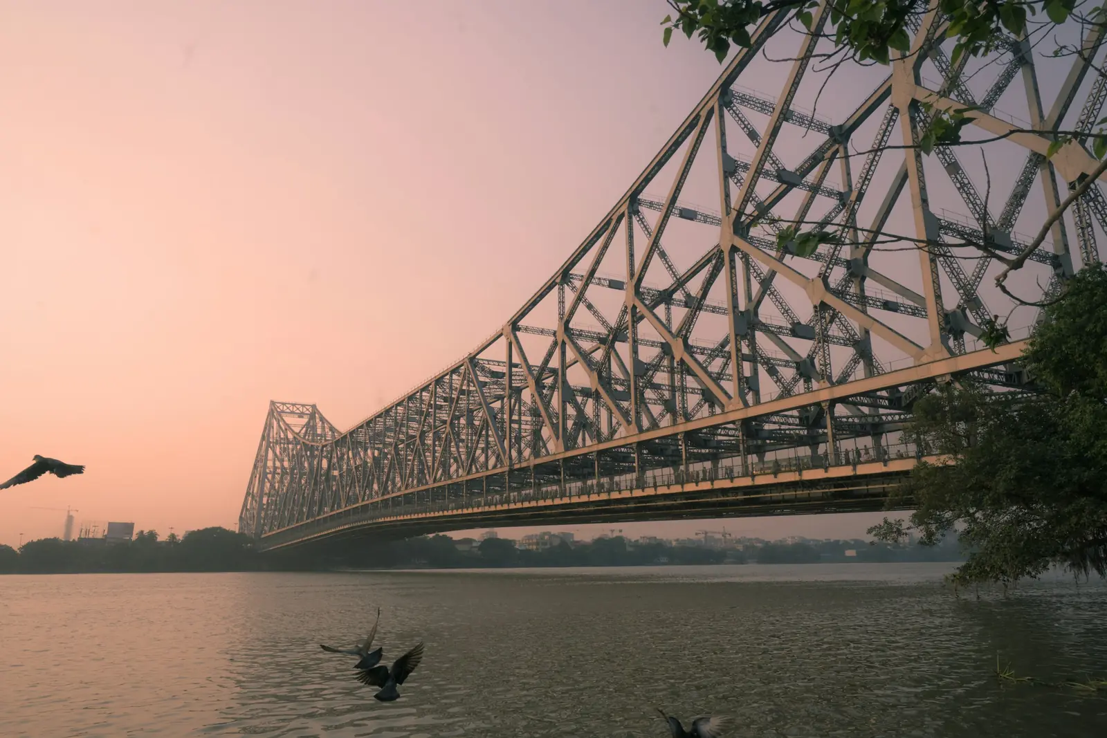 Steel cantilever span of Howrah Bridge over the Hooghly River in Kolkata at sunset, pigeons skimming the water