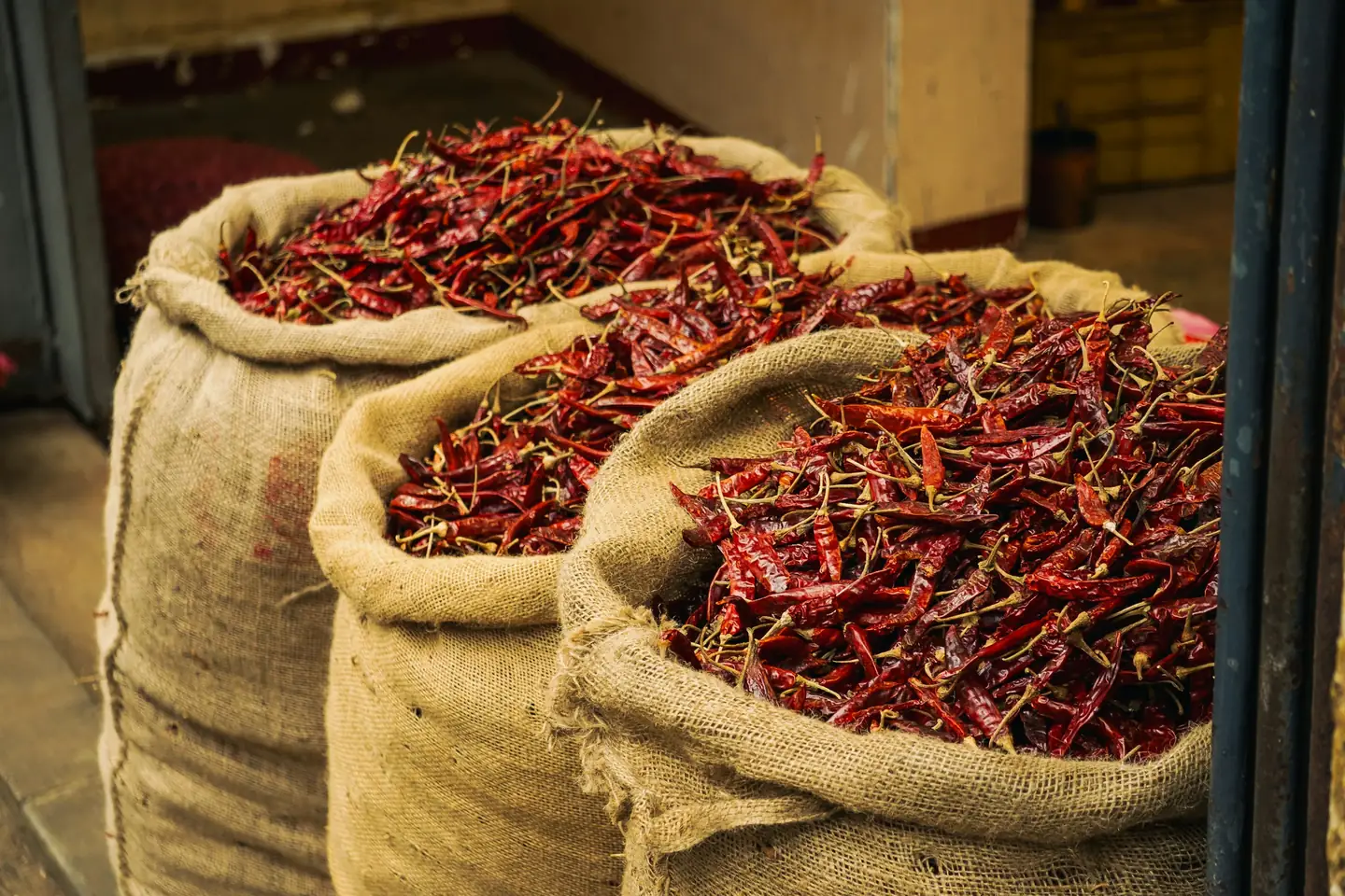 Open jute sacks heaped with dried red chillies, stacked for bulk sale at a wholesale spice market