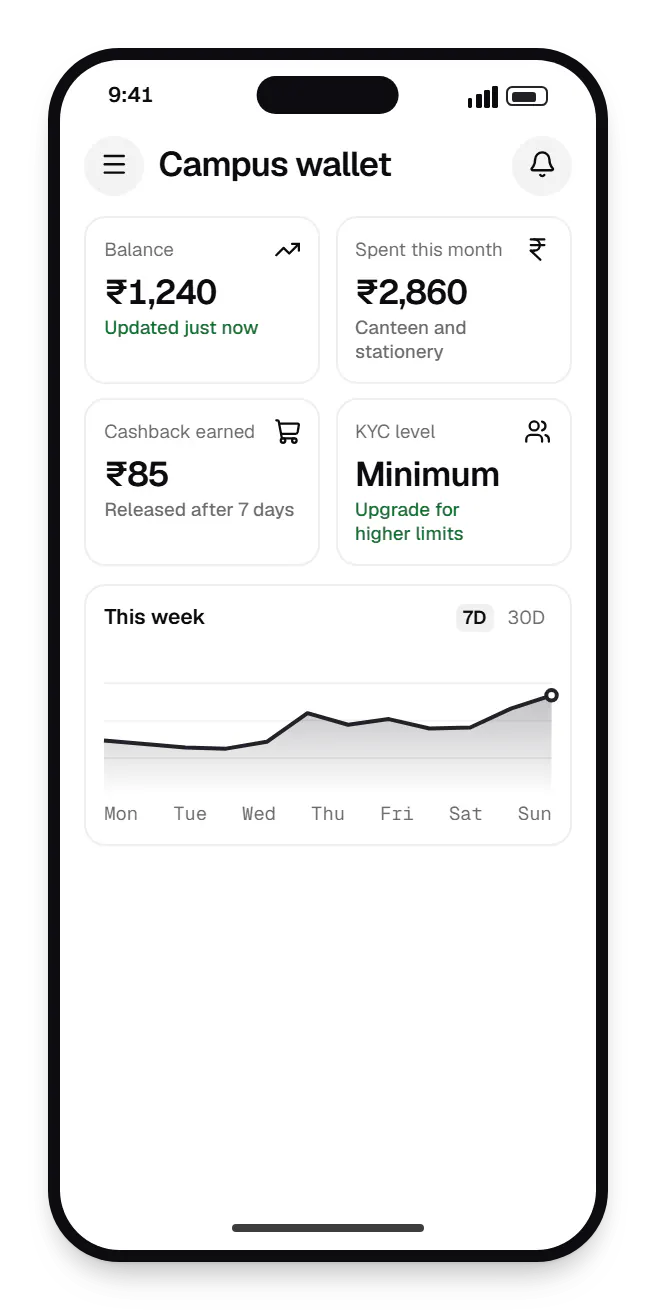Digital wallet user app dashboard on a phone, with key figures and a chart